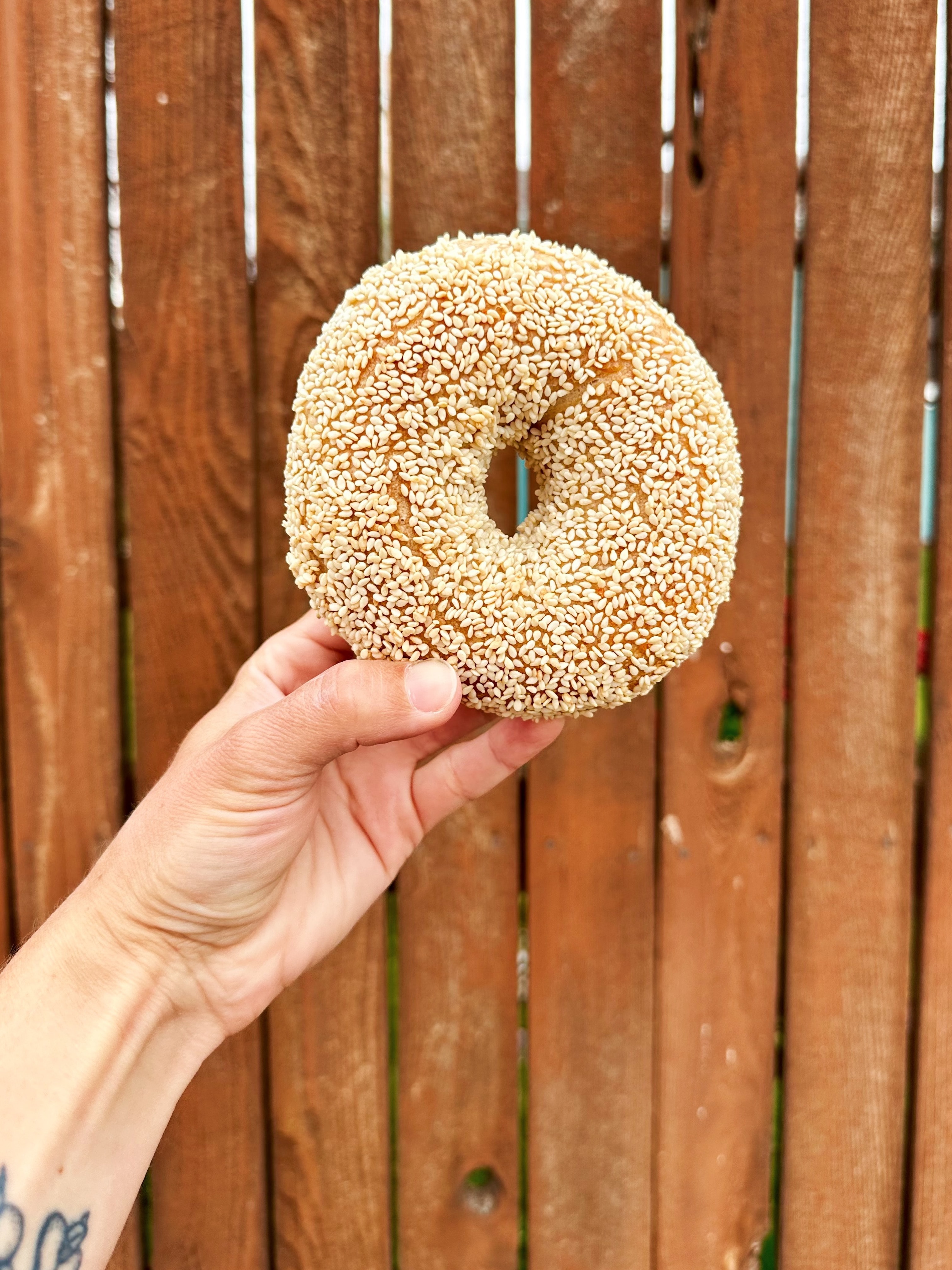 bagel-sesame