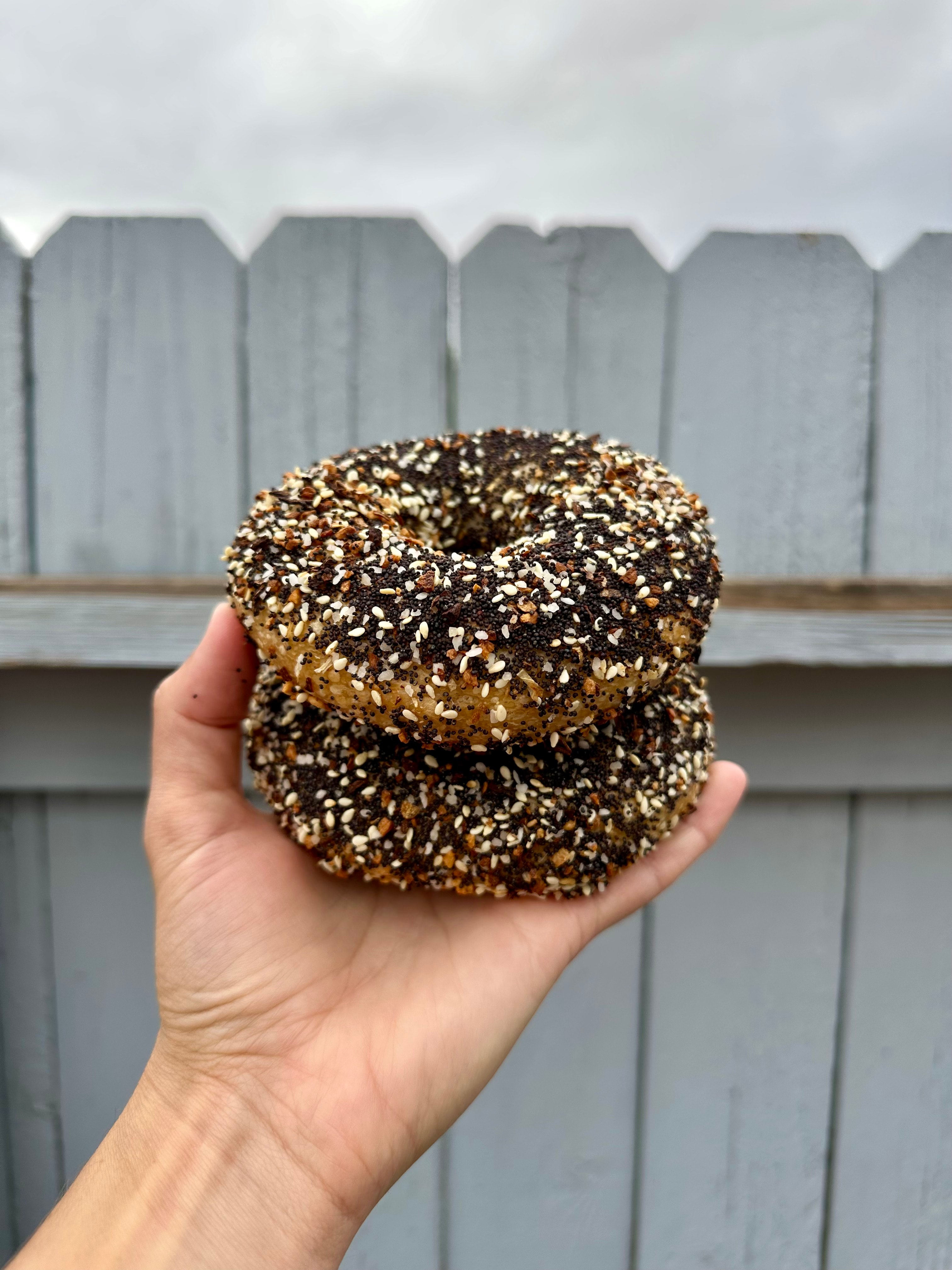 bagel-every