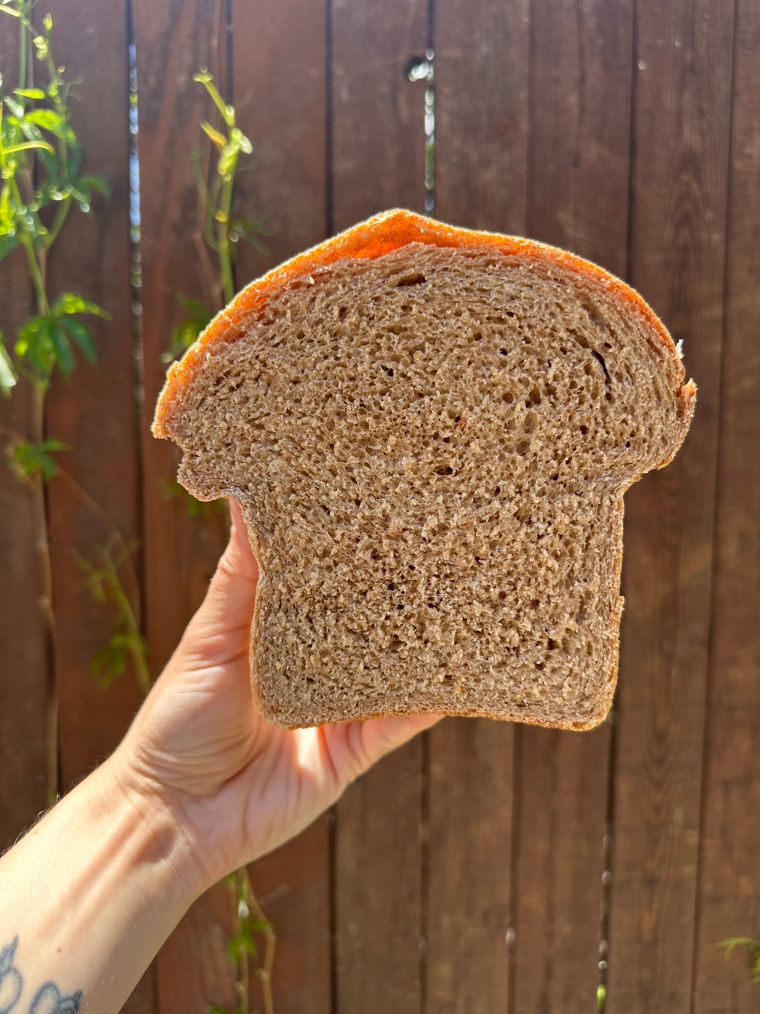 maple-whole-wheat