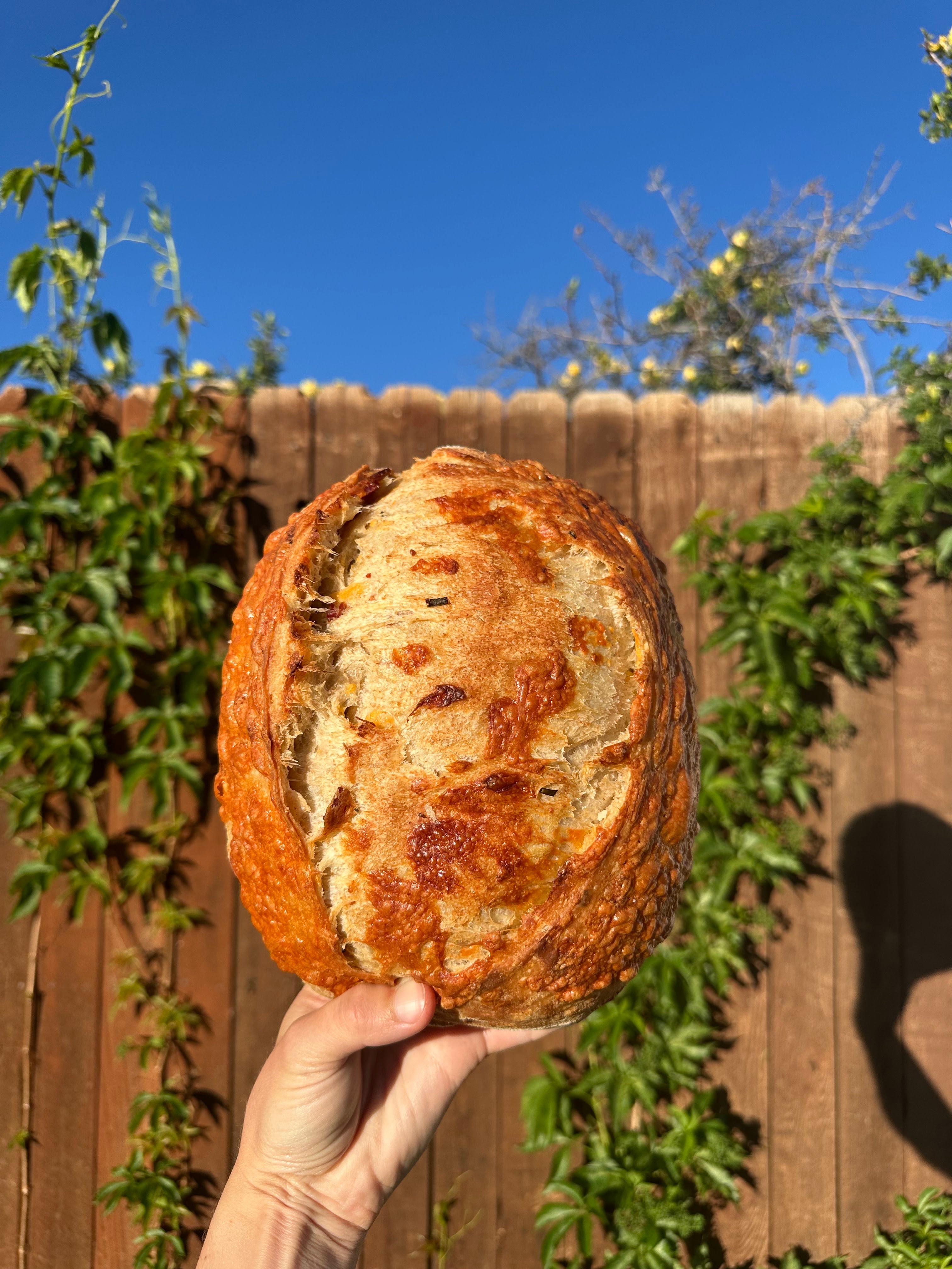 specialty-cheese