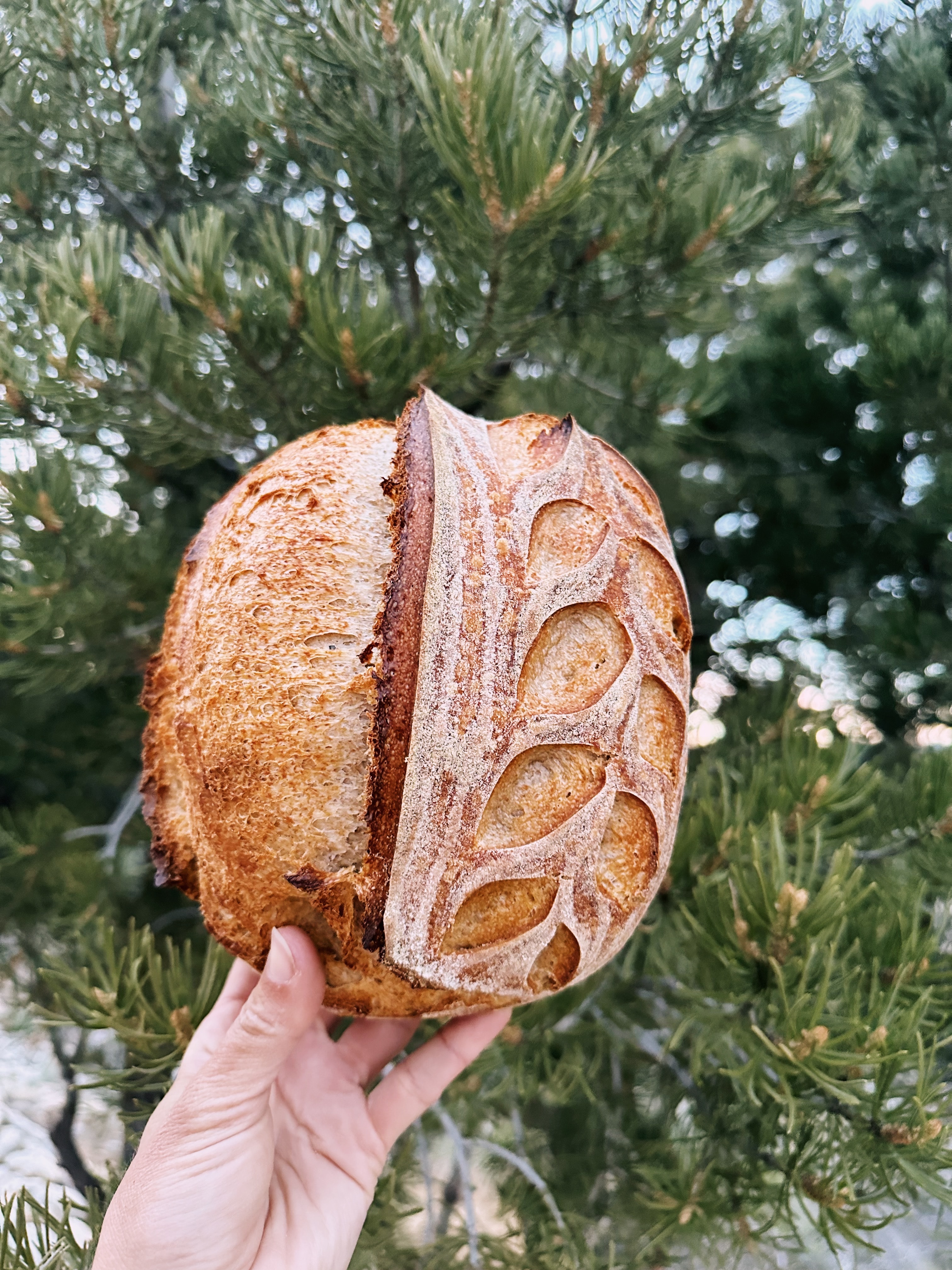 country-sourdough-2